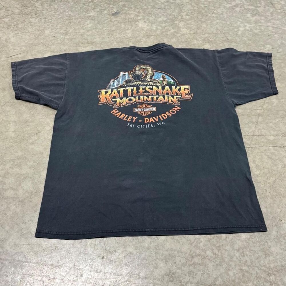 Harley-davidson Men's Black and Grey T-shirt